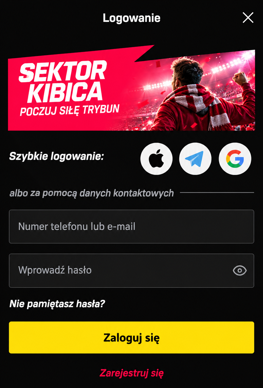 BetKing Panel logowania
